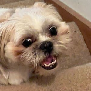 Meet your Posher, Kaleigh